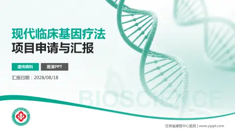 甘肃省康复中心医院项目申请与汇报PPT模板