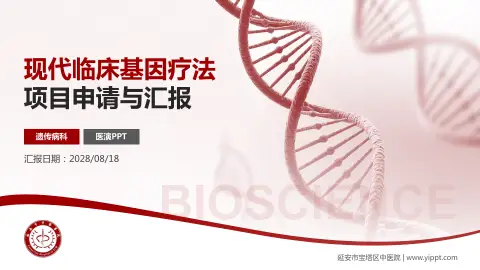延安市宝塔区中医院项目申请与汇报PPT模板