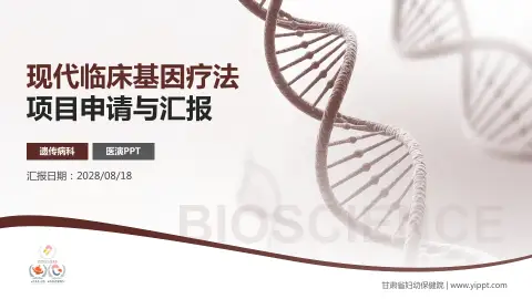 甘肃省妇幼保健院项目申请与汇报PPT模板