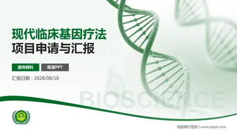 福建蜂疗医院项目申请与汇报PPT模板