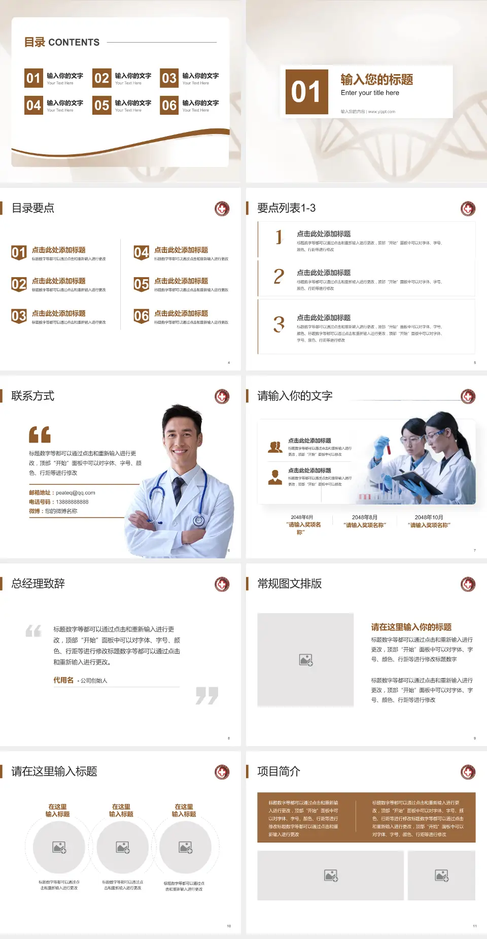 厦门市中医院项目申请与汇报PPT模板4:3格式幻灯片预览图2