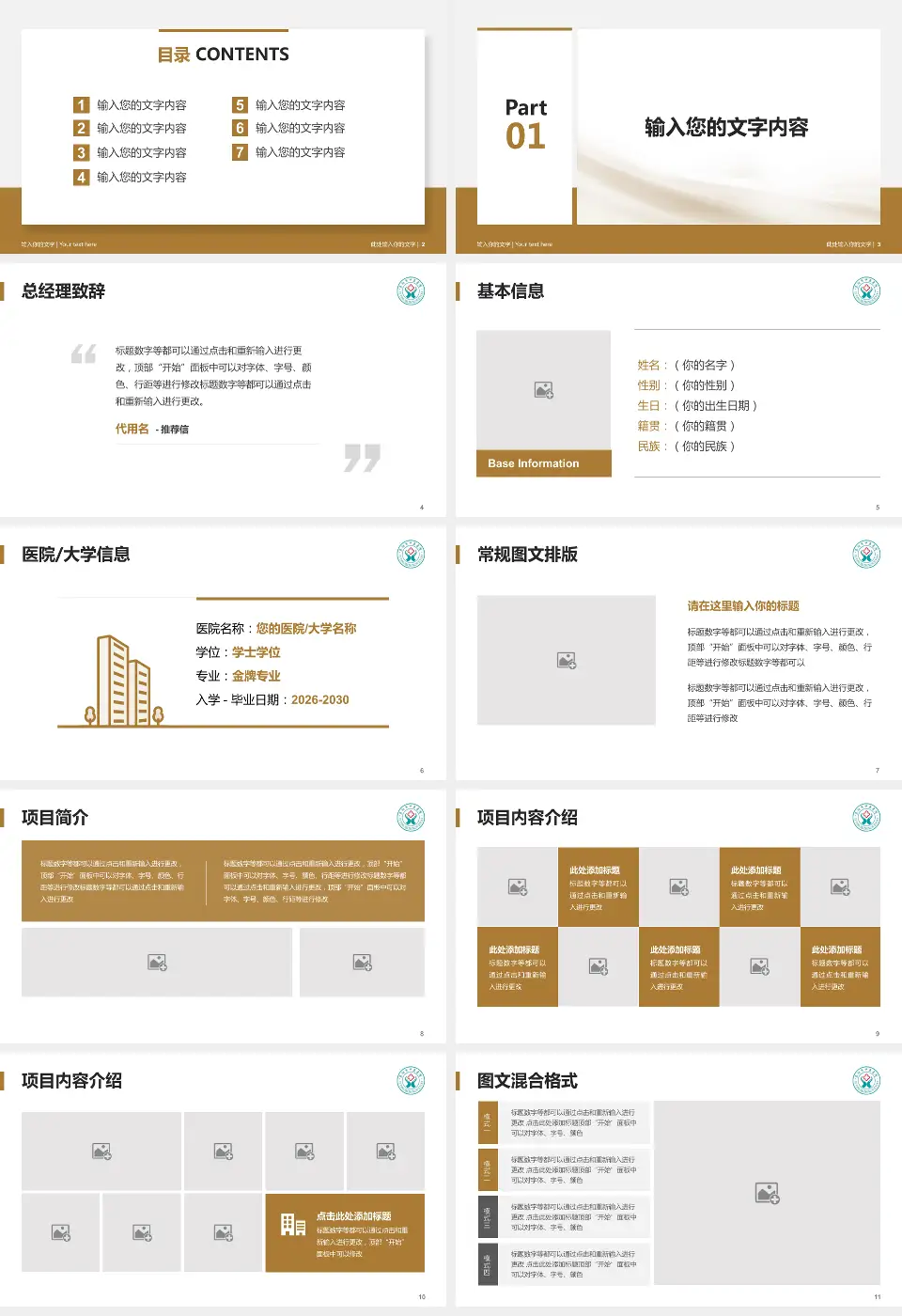 阜阳市中医医院个人求职应聘简历PPT模板16:9格式幻灯片预览图2