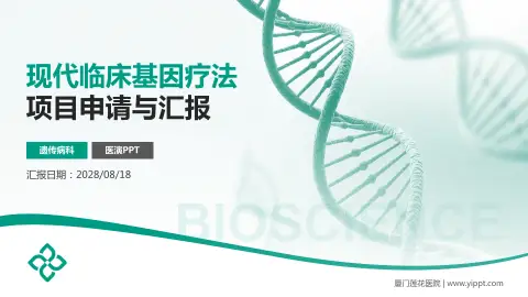 厦门莲花医院项目申请与汇报PPT模板