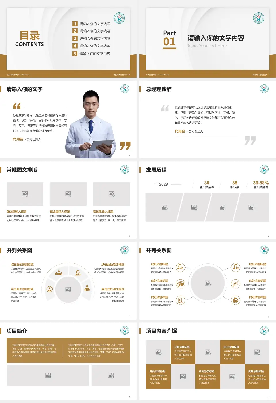 阜阳市中医医院医院管理报告PPT模板16:9格式幻灯片预览图2
