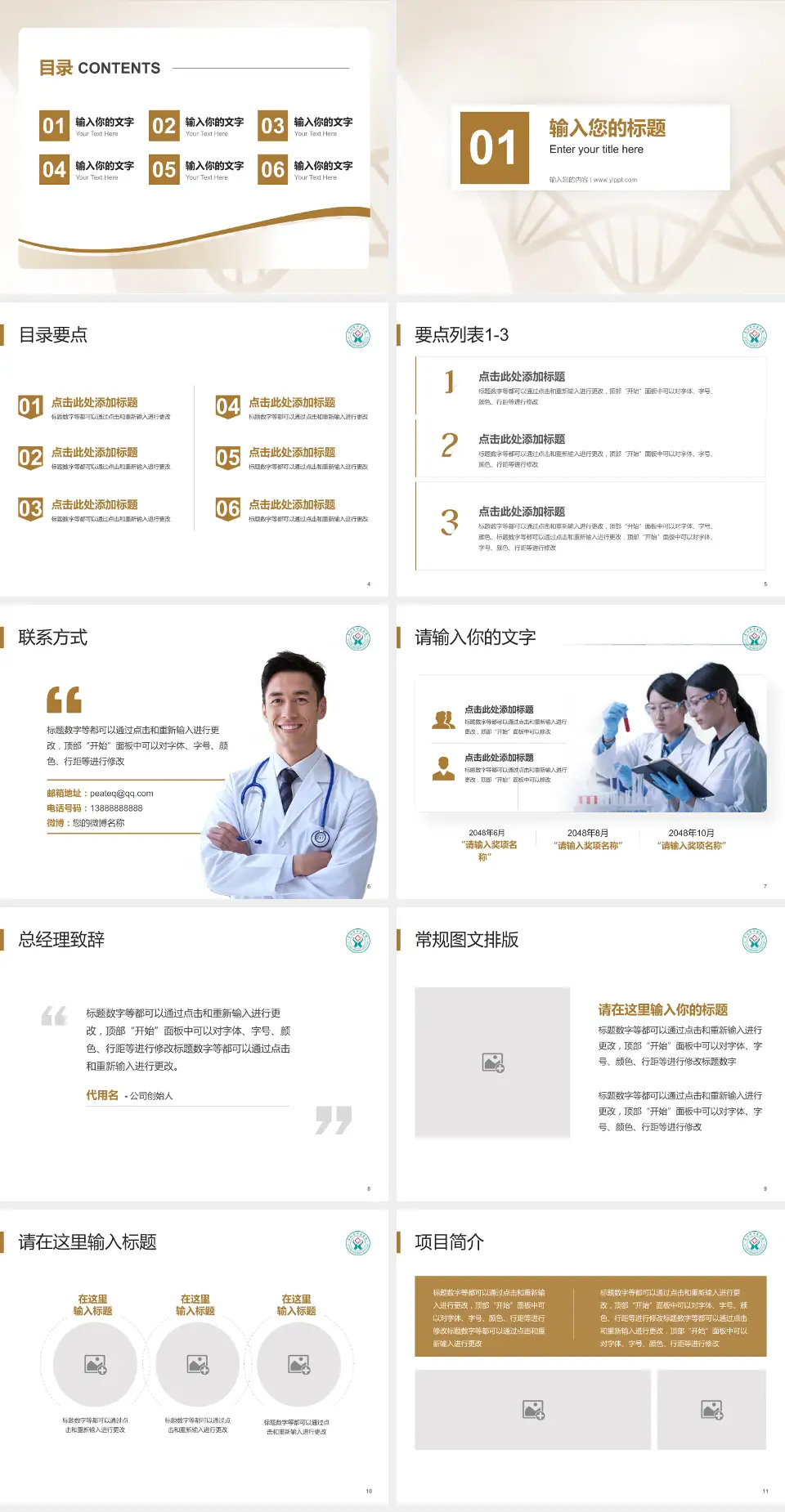 阜阳市中医医院项目申请与汇报PPT模板4:3格式幻灯片预览图2