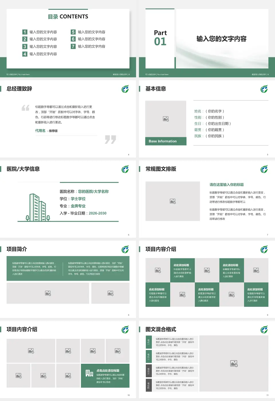 海南省安宁医院个人求职应聘简历PPT模板16:9格式幻灯片预览图2