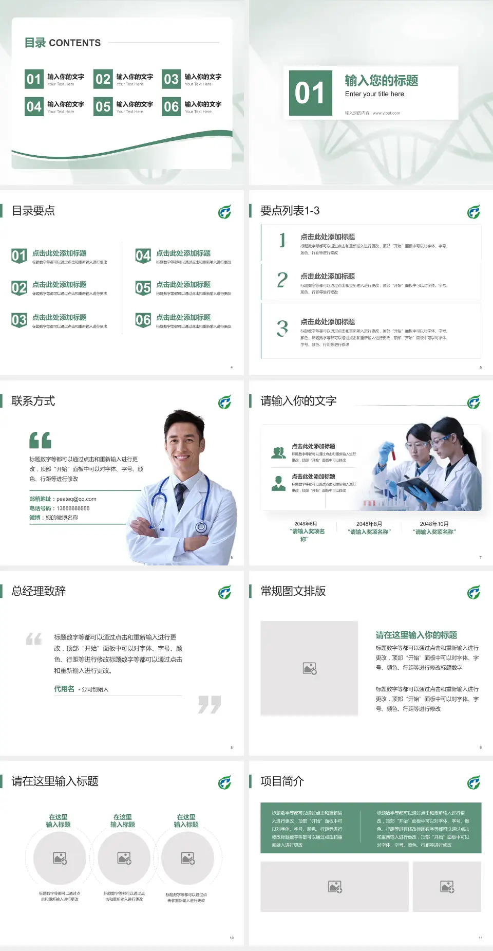 海南省安宁医院项目申请与汇报PPT模板4:3格式幻灯片预览图2