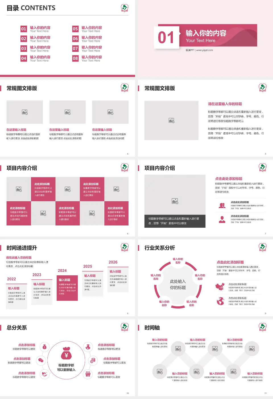 海口市妇幼保健院财务与预算报告PPT模板16:9格式幻灯片预览图2