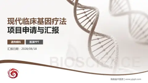 海南省中医院项目申请与汇报PPT模板