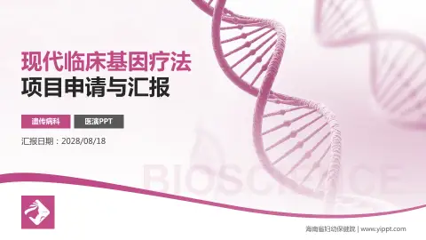 海南省妇幼保健院项目申请与汇报PPT模板