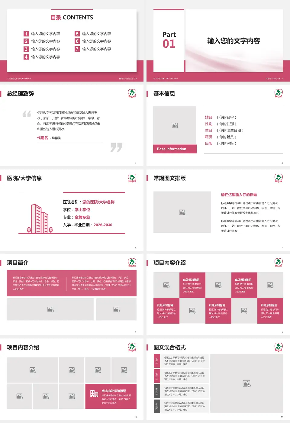 海口市妇幼保健院个人求职应聘简历PPT模板16:9格式幻灯片预览图2