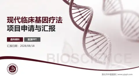 淮北市中医医院项目申请与汇报PPT模板