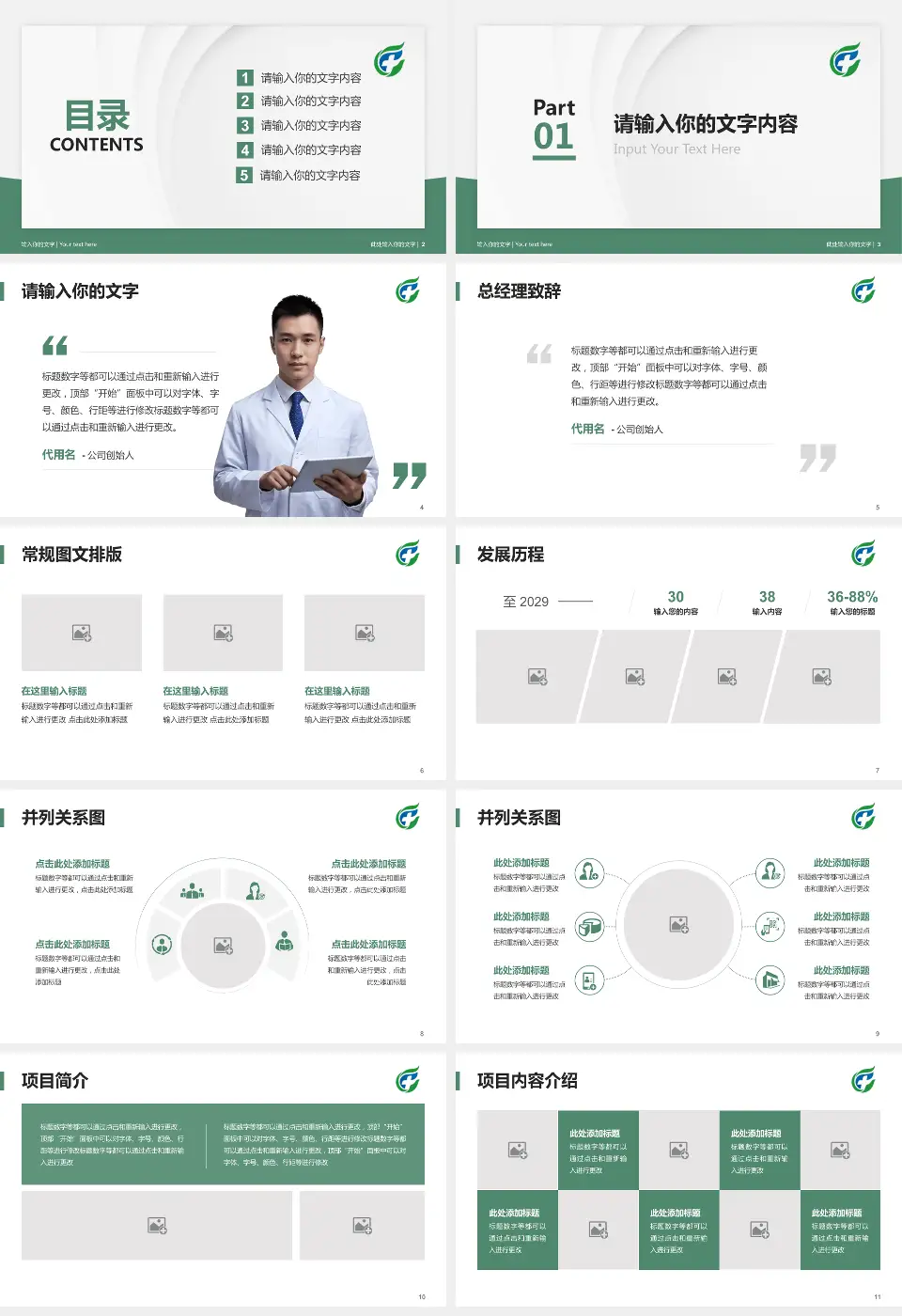 海南省安宁医院医院管理报告PPT模板16:9格式幻灯片预览图2