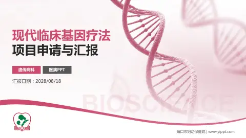 海口市妇幼保健院项目申请与汇报PPT模板