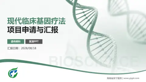 海南省安宁医院项目申请与汇报PPT模板