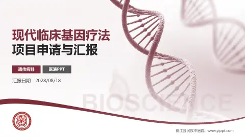 德江县民族中医院项目申请与汇报PPT模板