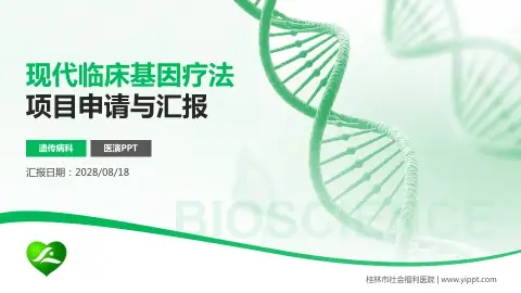 桂林市社会福利医院项目申请与汇报PPT模板