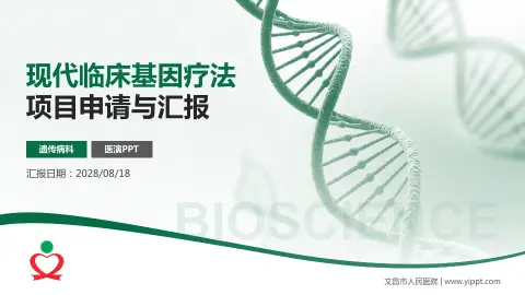 文昌市人民医院项目申请与汇报PPT模板
