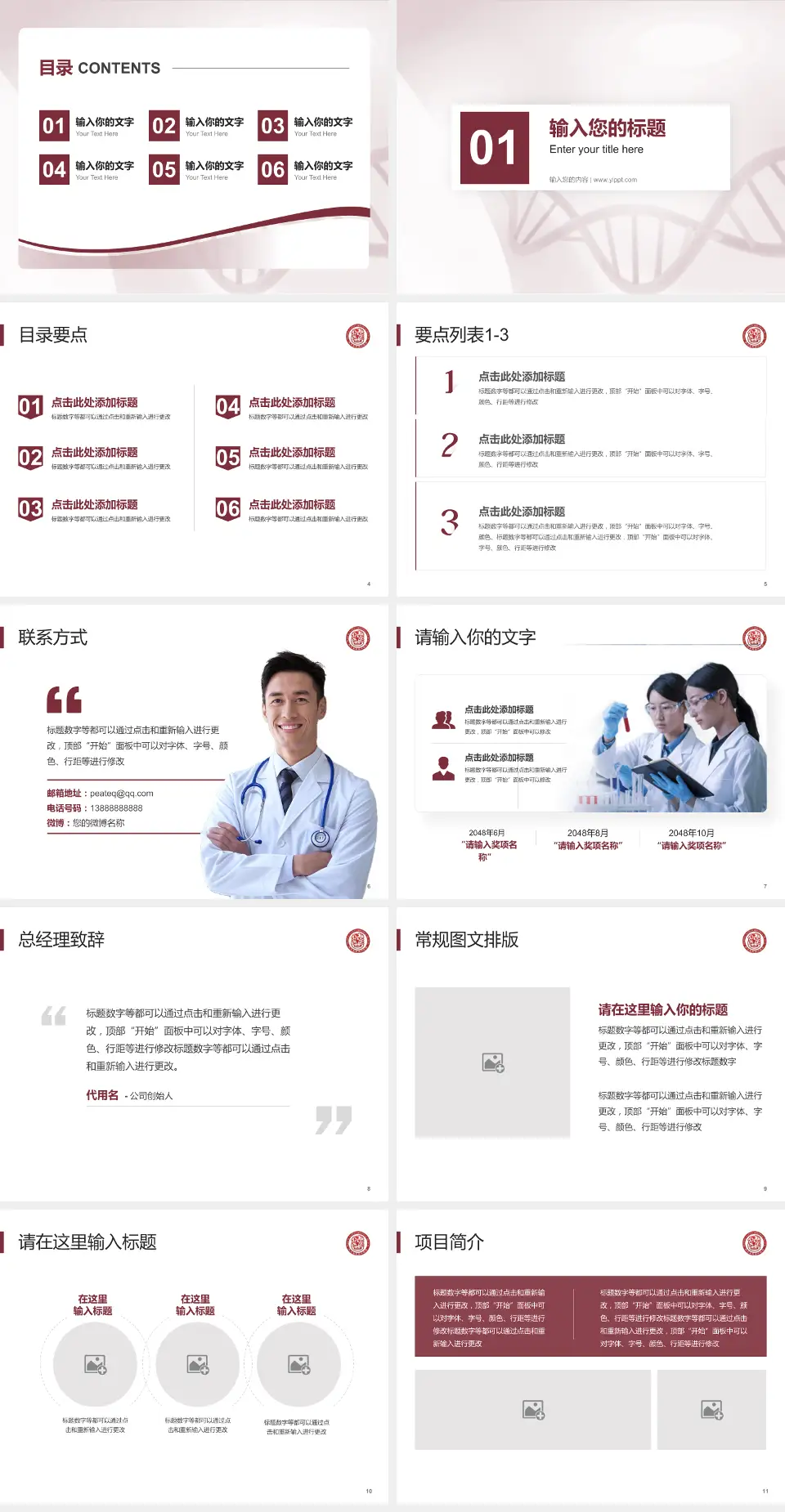 德江县民族中医院项目申请与汇报PPT模板4:3格式幻灯片预览图2