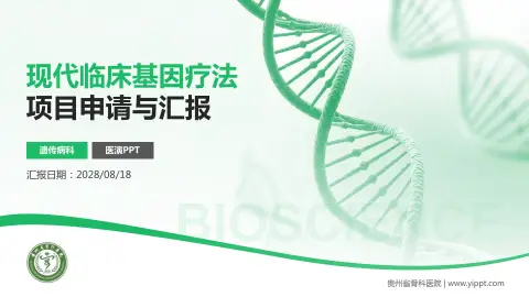 贵州省骨科医院项目申请与汇报PPT模板