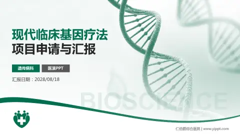 仁伯爵综合医院项目申请与汇报PPT模板