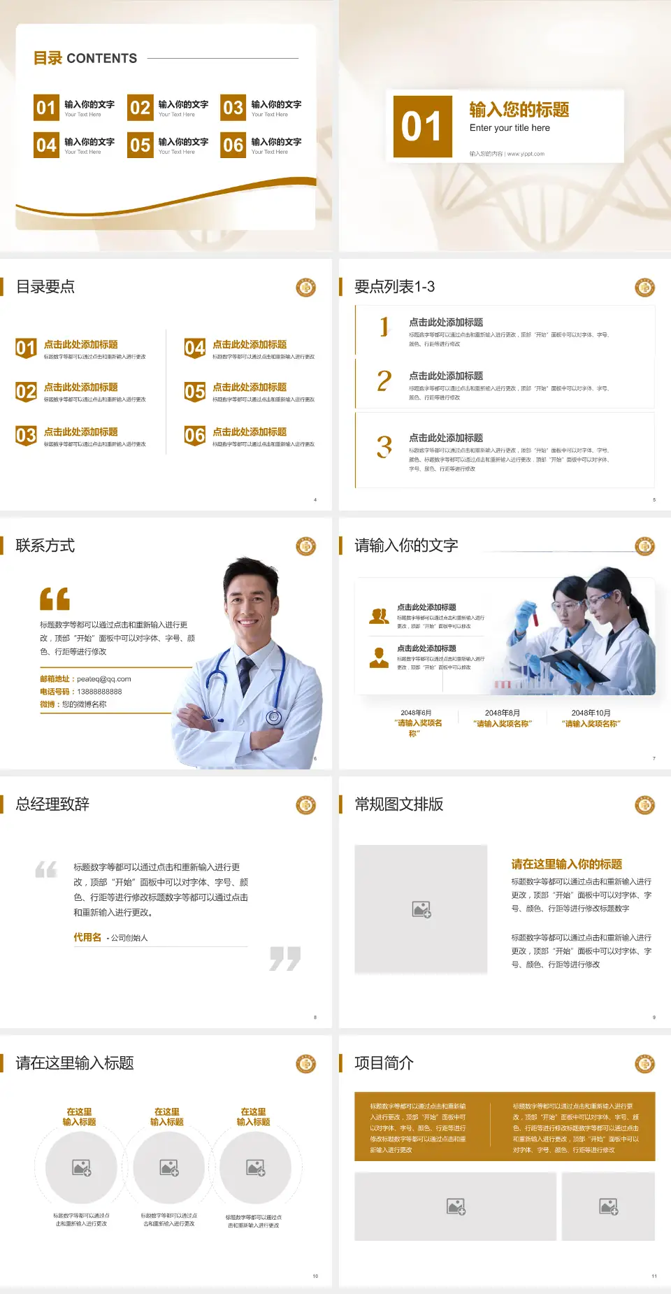 石门县中医院项目申请与汇报PPT模板4:3格式幻灯片预览图2