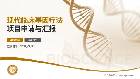 石门县中医院项目申请与汇报PPT模板