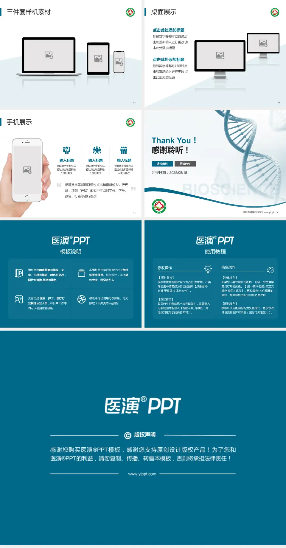郴州市精神病医院项目申请与汇报PPT模板4:3格式幻灯片预览图6