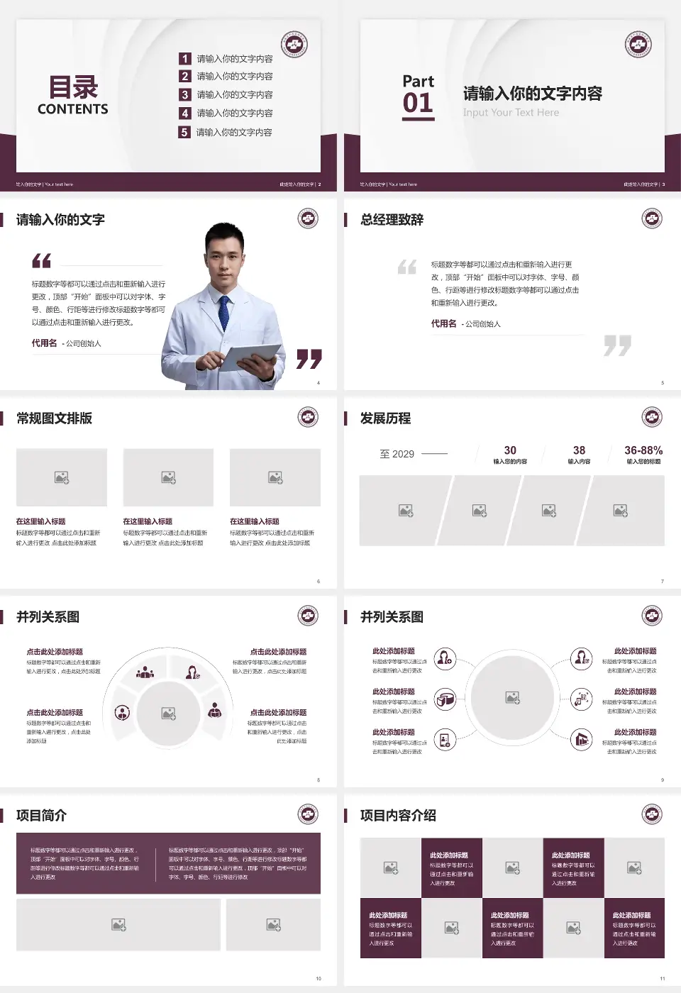 湖南省中医药研究院附属医院医院管理报告PPT模板16:9格式幻灯片预览图2