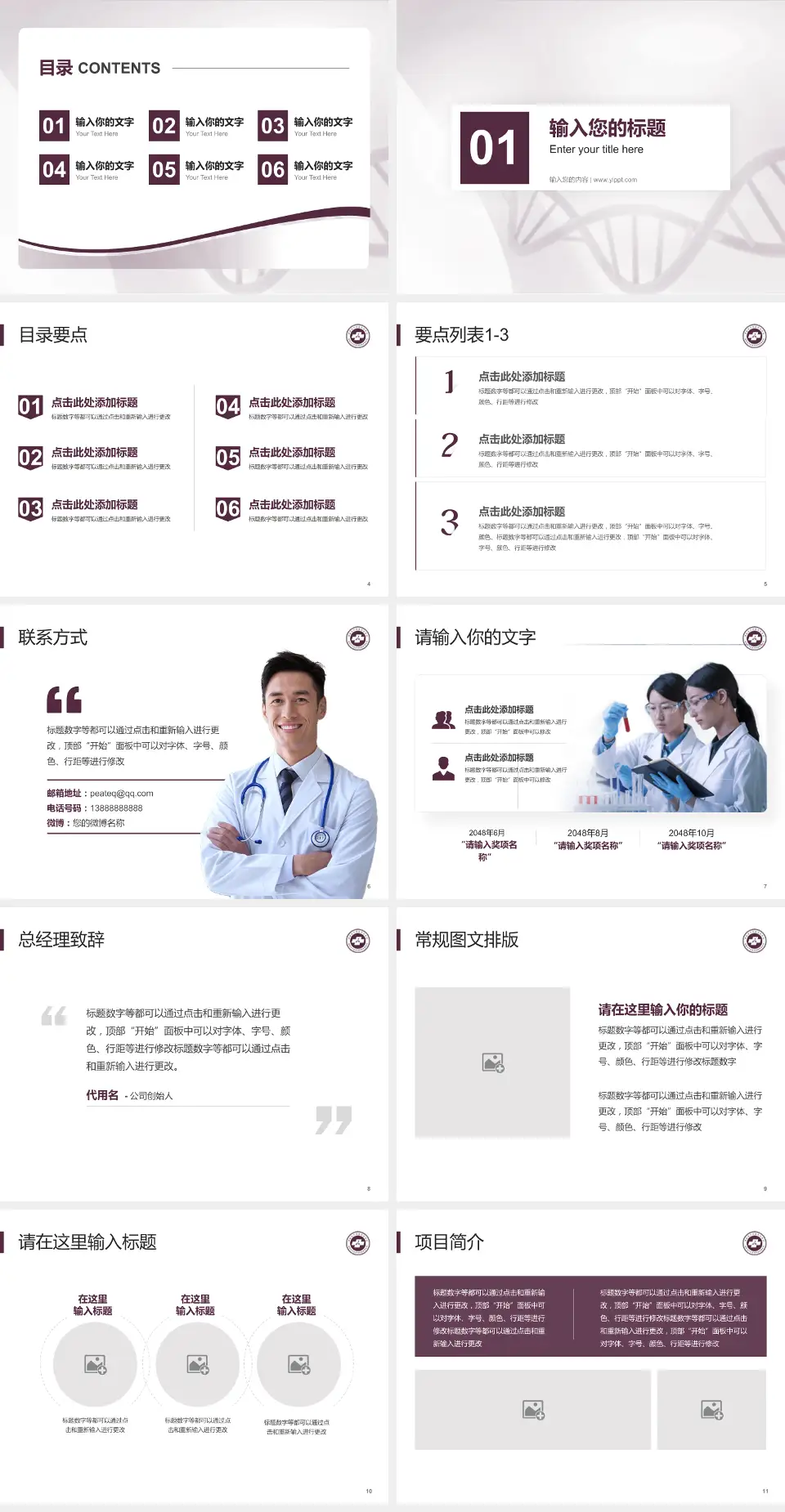 湖南省中医药研究院附属医院项目申请与汇报PPT模板4:3格式幻灯片预览图2