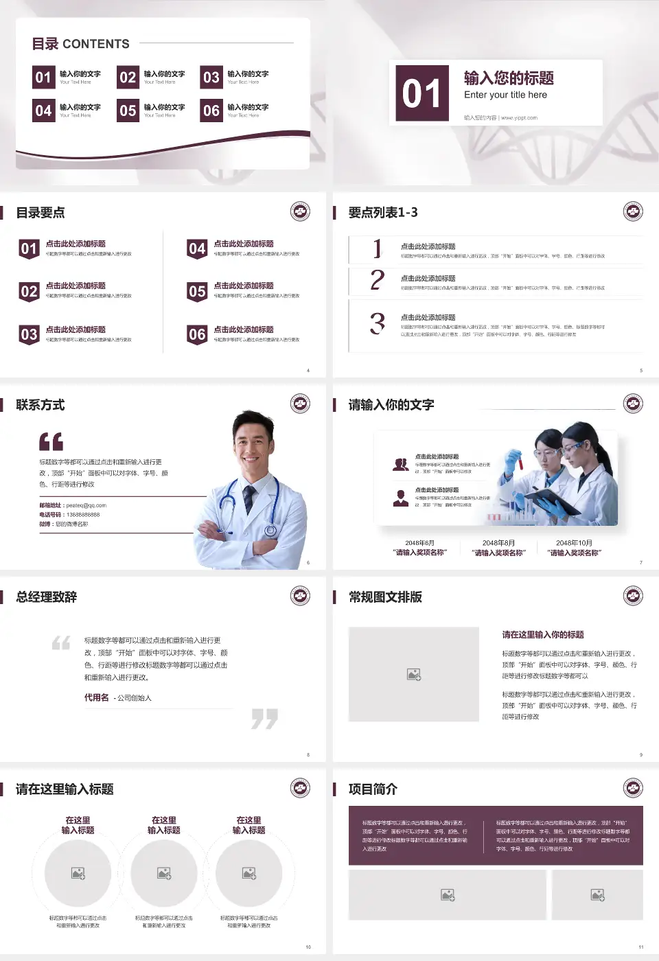 湖南省中医药研究院附属医院项目申请与汇报PPT模板16:9格式幻灯片预览图2