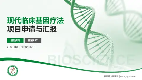 双牌县人民医院项目申请与汇报PPT模板