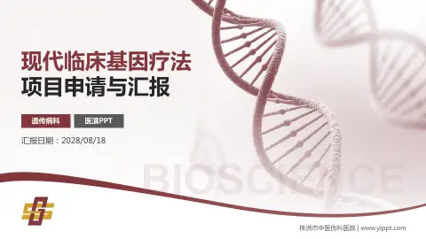 株洲市中医伤科医院项目申请与汇报PPT模板