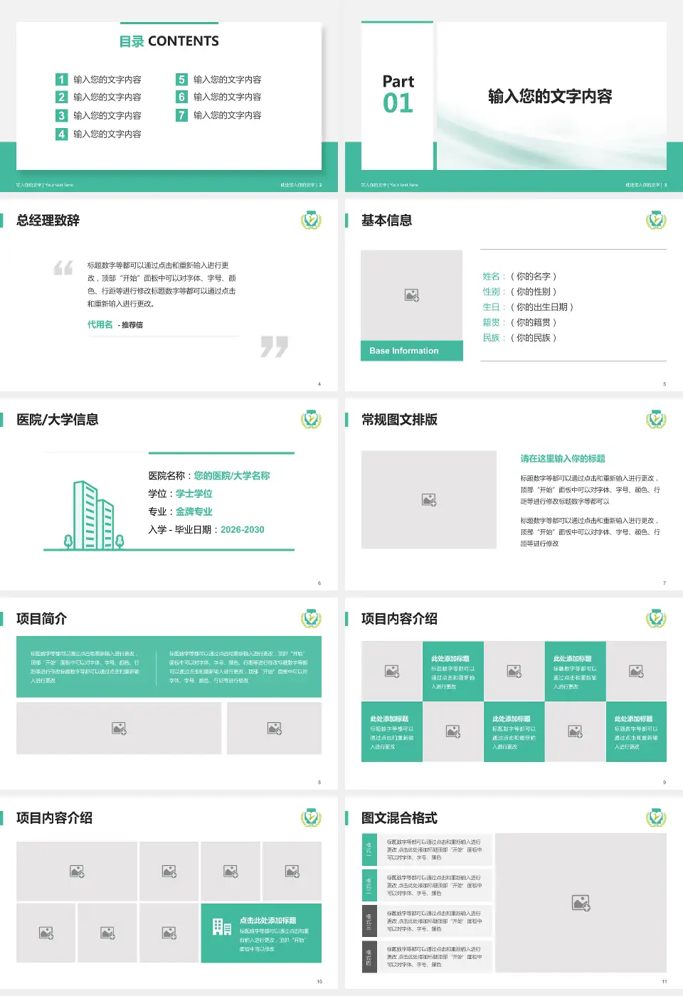 攸县人民医院个人求职应聘简历PPT模板16:9格式幻灯片预览图2