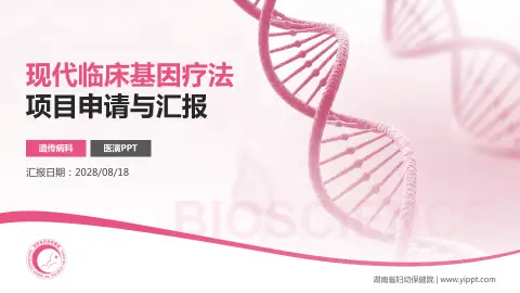 湖南省妇幼保健院项目申请与汇报PPT模板