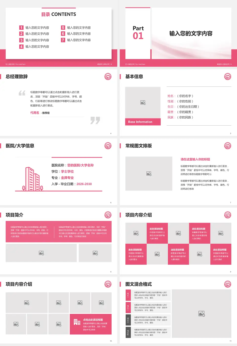 娄底市妇幼保健院个人求职应聘简历PPT模板16:9格式幻灯片预览图2