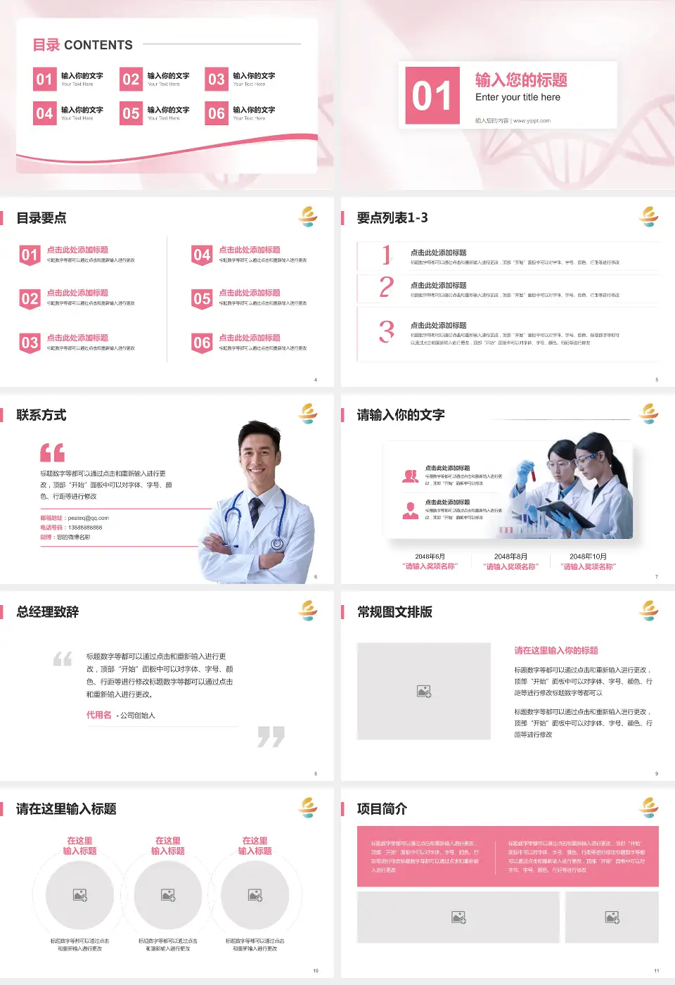 岳阳市妇幼保健院项目申请与汇报PPT模板16:9格式幻灯片预览图2