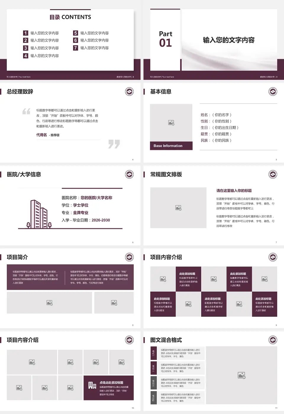 湖南省中医药研究院附属医院个人求职应聘简历PPT模板16:9格式幻灯片预览图2