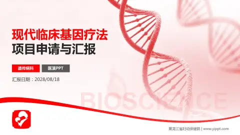 黑龙江省妇幼保健院项目申请与汇报PPT模板