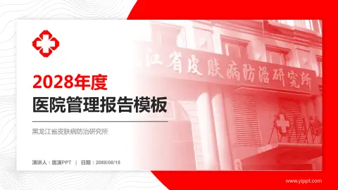 黑龙江省皮肤病防治研究所医院管理报告PPT模板