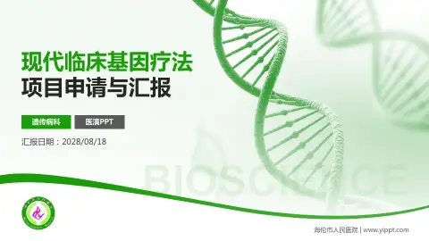 海伦市人民医院项目申请与汇报PPT模板