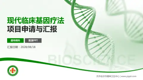 齐齐哈尔市精神卫生中心项目申请与汇报PPT模板