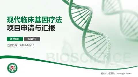 鹤岗市人民医院项目申请与汇报PPT模板