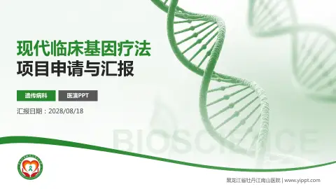 黑龙江省牡丹江南山医院项目申请与汇报PPT模板