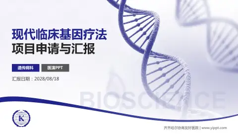 齐齐哈尔协育友好医院项目申请与汇报PPT模板