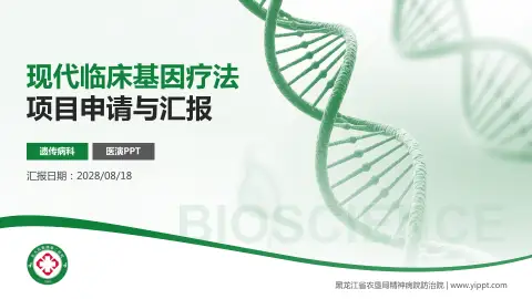 黑龙江省农垦局精神病院防治院项目申请与汇报PPT模板