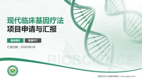 昆明市东川区精神病院项目申请与汇报PPT模板