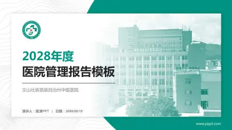 文山壮族苗族自治州中医医院医院管理报告PPT模板