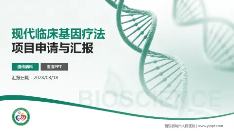 西双版纳州人民医院项目申请与汇报PPT模板