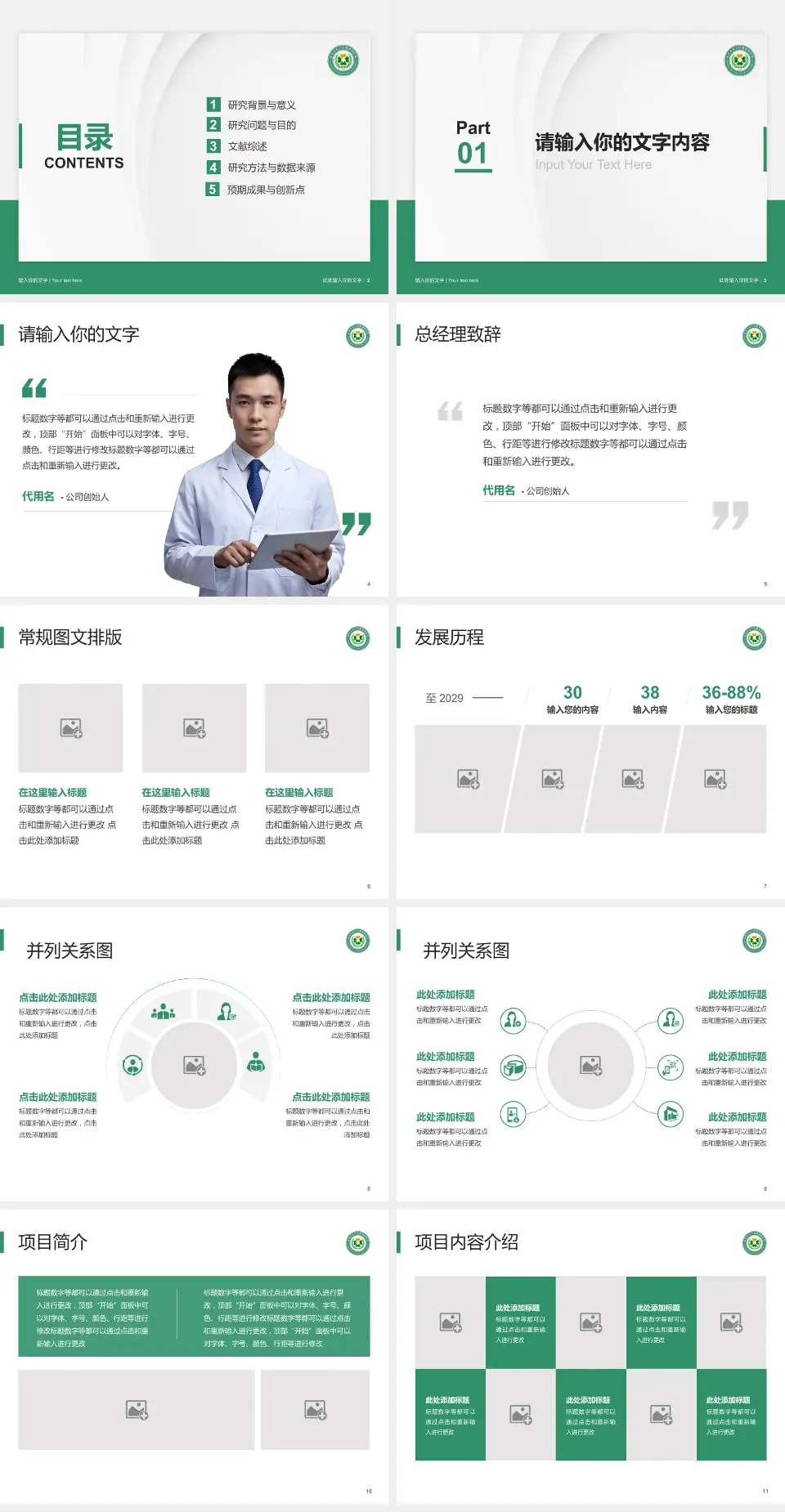 昆明市东川区精神病院医院管理报告PPT模板4:3格式幻灯片预览图2